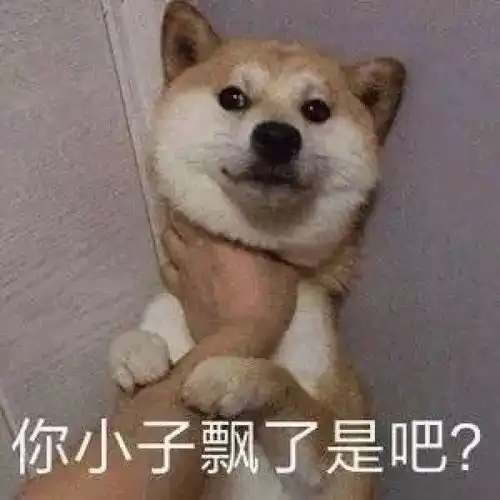 我猜每个人都会有那么几个狗狗的表情包
