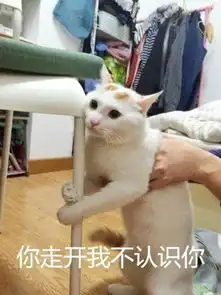 高考的猜想

