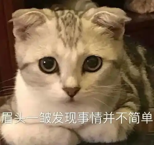 搞笑表情包黄夏温表情包动图无字0615期

