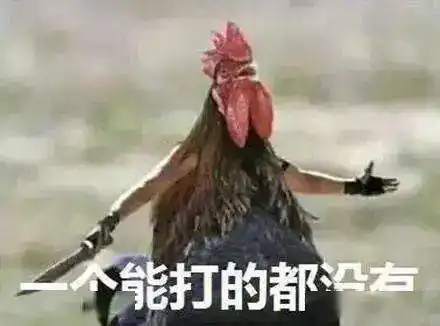 动物森林丨山东鸡哥的悲剧
