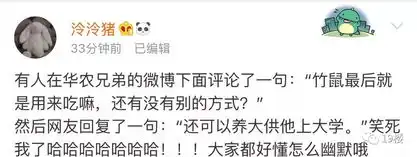 哈哈哈哈哈这只竹鼠,承包了我一天的笑点
