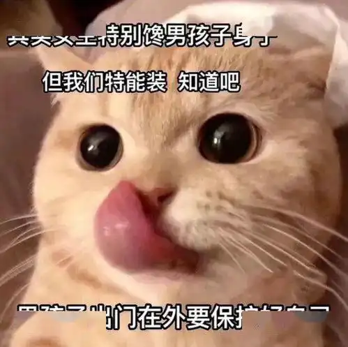 近期热图进来收图
