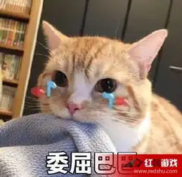 委屈巴巴猫表情包图片有个很委屈的委屈巴巴猫表情包
