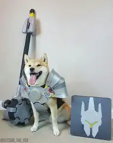 表情与斗图番外篇守望先锋doge表情包