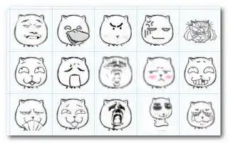 猥琐猫qq表情猥琐猫表情包下载跑跑车软件下载
