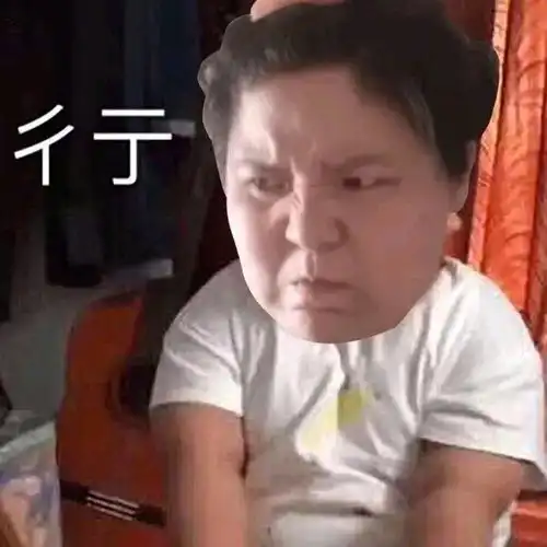 近期热门表情包精选
