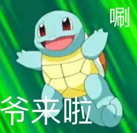 合集杰尼龟表情包