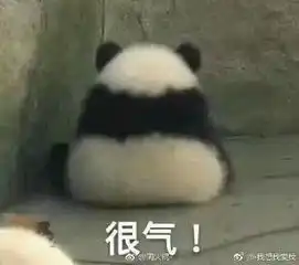 为了追一个有10k粉丝的某网红博主,男友和我分手了
