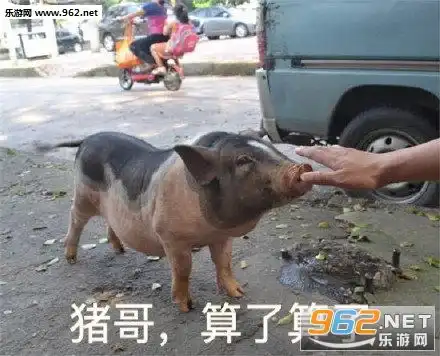 我好没用只会看着别人的爱情流泪图片突然反打表情包下载乐游网游戏下载
