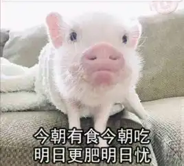 试图减肥,未遂
