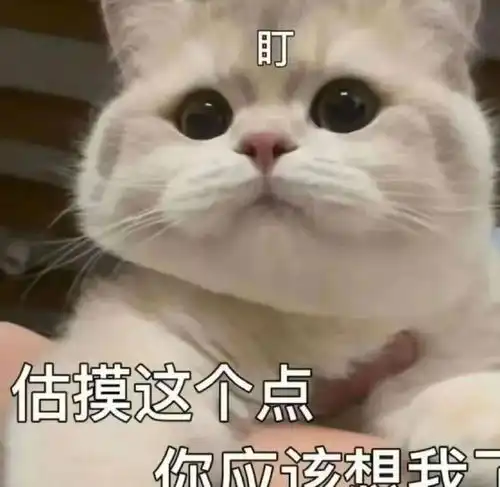 哪些星座最可能和灵魂伴侣在一起
