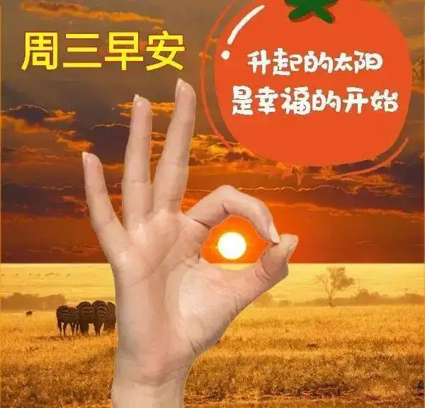 清晨问候大家早上好的暖心祝福句子,最美的早安祝福语表情图片带字
