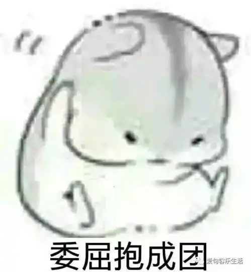 这就是你问我借钱的理由......
