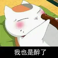 猫咪老师猥琐脸系列文字表情包情侣专用把钱交粗来图片浏览
