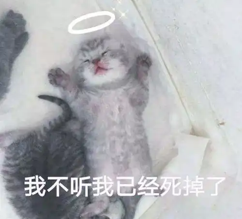 你们的丁克老公都是哪里找到的
