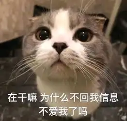 流传千年习俗的丢失令我深感痛心诸君进来说两句
