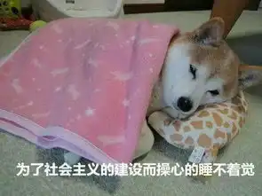 半途效应我从来没有成功过