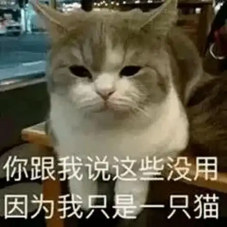 第72期喵表情水果摊阿姨都承认你甜过初恋
