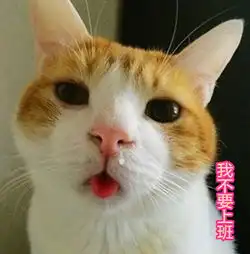 qq搞笑表情qq表情搞笑搞笑表情图片大全腾牛个性网
