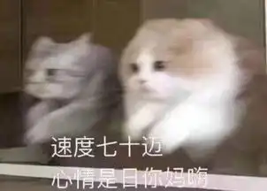 超性感骑士的微博微博
