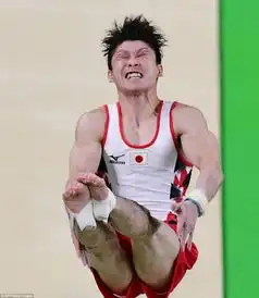 奥运表情包歇斯底里的英雄
