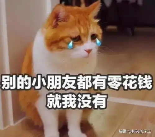 搞笑段子今天我问老妈现在骗子多,你知道啥是套路吗
