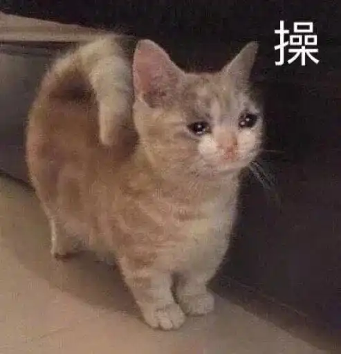 幽默搞笑表情包不要发了,这种东西,我一点感觉都没有
