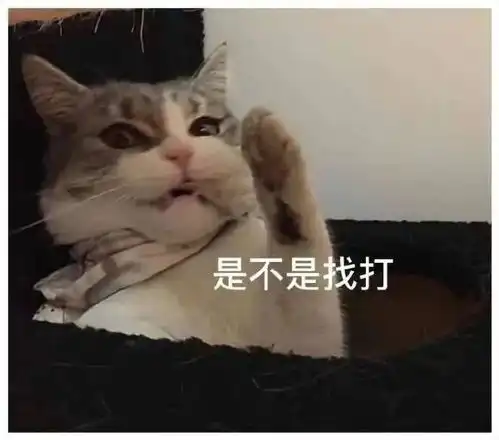 表情包都说男人是大猪蹄子,我闺蜜啃得比谁都香
