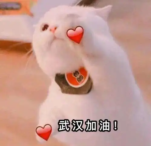 多所高校推迟开学时间,复试会推迟或改变考察形式吗做为考研人的我们该如何应对
