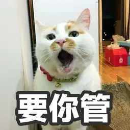 我的表情包去世了搜狐宠物搜狐网
