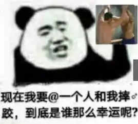 最近超火的霸气熊猫怼人表情包大集合不看后悔
