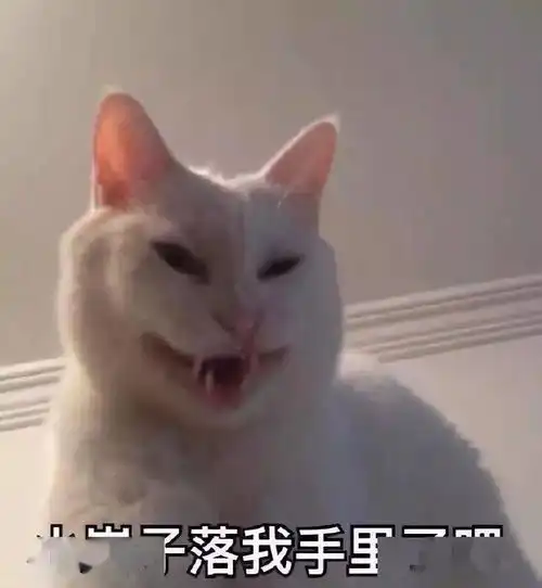 说真的,我劝你们不要轻易养宠物