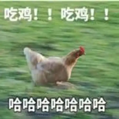 面包里包了一整只大烤鸡,但它不是黑暗料理
