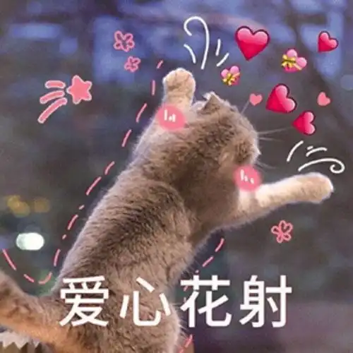 姐妹们,把最近买到的厚实加绒裙子交出来
