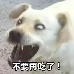 我从来没想过,有一天会因为吃货表情包而放弃减肥
