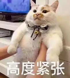 紧张的表情包
