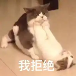 日语中表示不行的语法汇总拒绝3连快来学习一下
