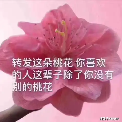 热门表情包图片一张图,让他知道你在生气,关键还很可爱
