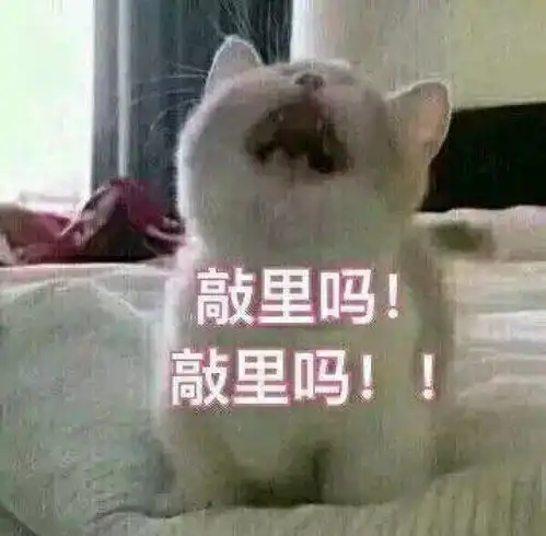 史上最牛的吃鸡方式靠着一张嘴忽悠,玩家不开一枪成功拿第一
