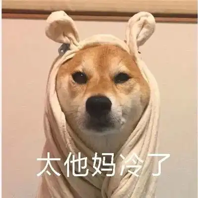 2021天冷不想起床的表情包过段时间就要遭受到被窝的绑架了
