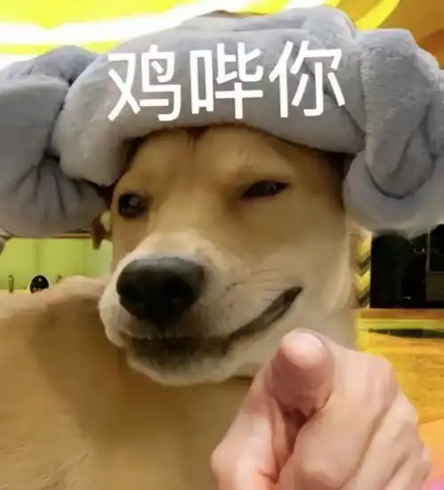 鸡哔你表情包动图下载抖音鸡哔你表情包动图图片下载v1.0嗨客手机站
