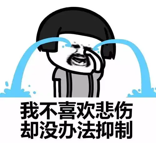 廊坊的冬天马上来了,这六件事儿实在太扎心
