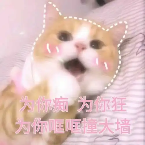 有没有什么富有调戏意味的表情包
