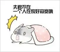 仓鼠表情包捕捉到一只呆萌的老婆