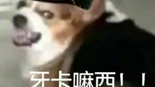 暮色大师是这样的吧
