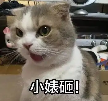 这什么人性在室友内裤上放消毒液,化妆水里放消毒剂
