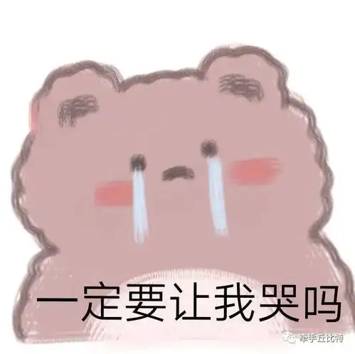 单身狗的年度总结