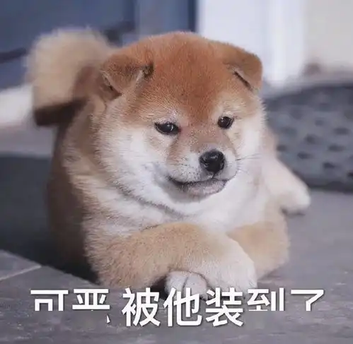 表情包动图你刚刚好凶
