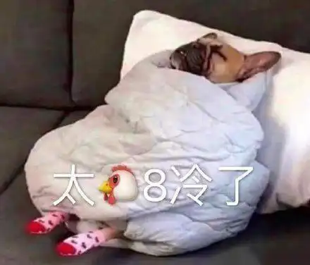 表示很冷的表情包合集今天那么冷,要不要来一个爱的抱抱啊
