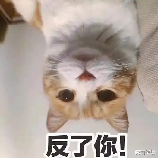 你妈妈挣多少钱教师处理结果来了,我想她的话,值得细品
